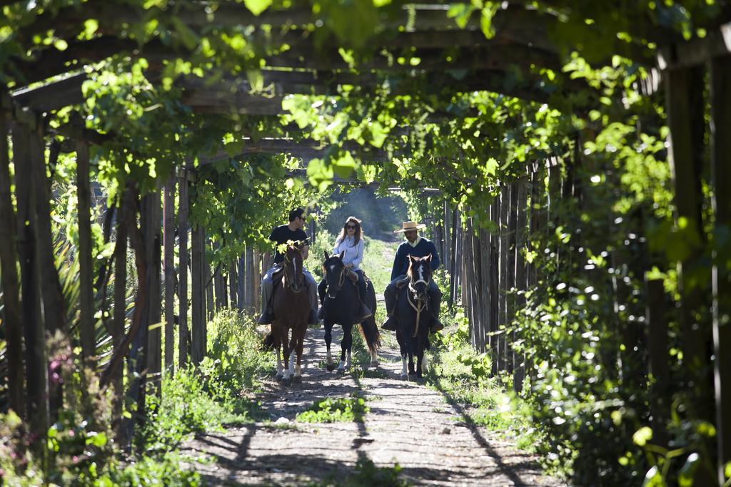 Hacienda Los Lingues Chile Valle De Colchagua ภายนอก รูปภาพ