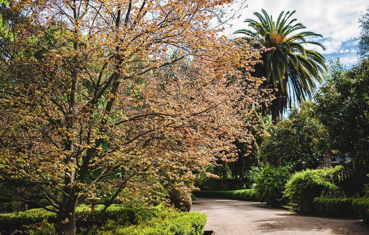 Hacienda Los Lingues Chile Valle De Colchagua ภายนอก รูปภาพ